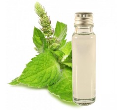 Huile essentielle menthe poivrée
