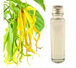 Huile essentielle ylang ylang