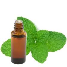 Huile de menthe