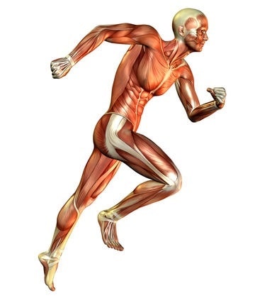 Baume du tigre pour les douleurs en musculation